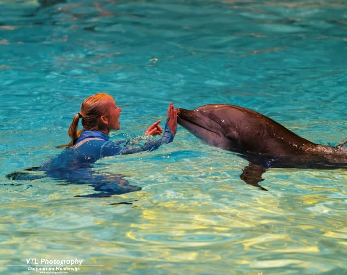 Dagje uit naar het Dolfinarium in Harderwijk. Stichting de Klup Twente Professionele
